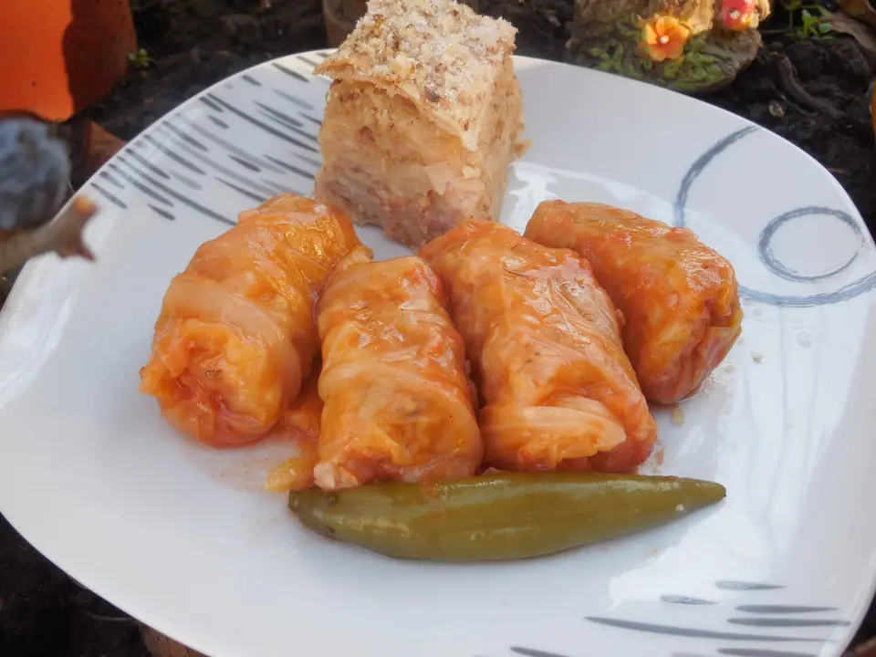 Bors radautean – etapa 6