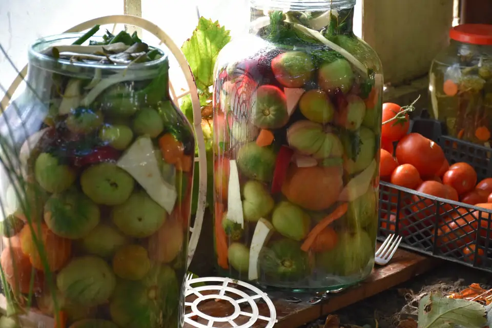 Gogonele murate – Muraturi gogonele in saramura – etapa 1