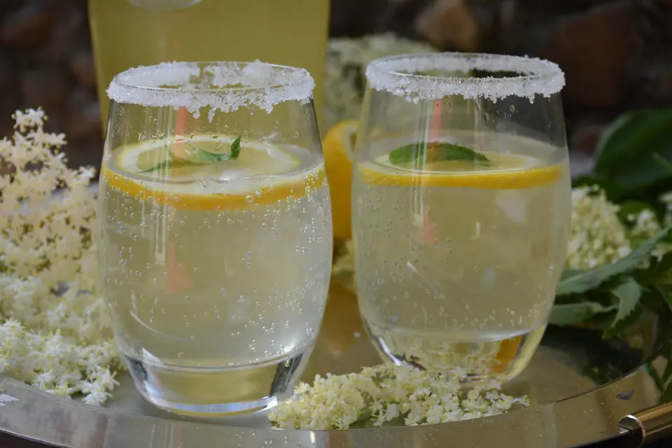 Sirop de soc – etapa 1