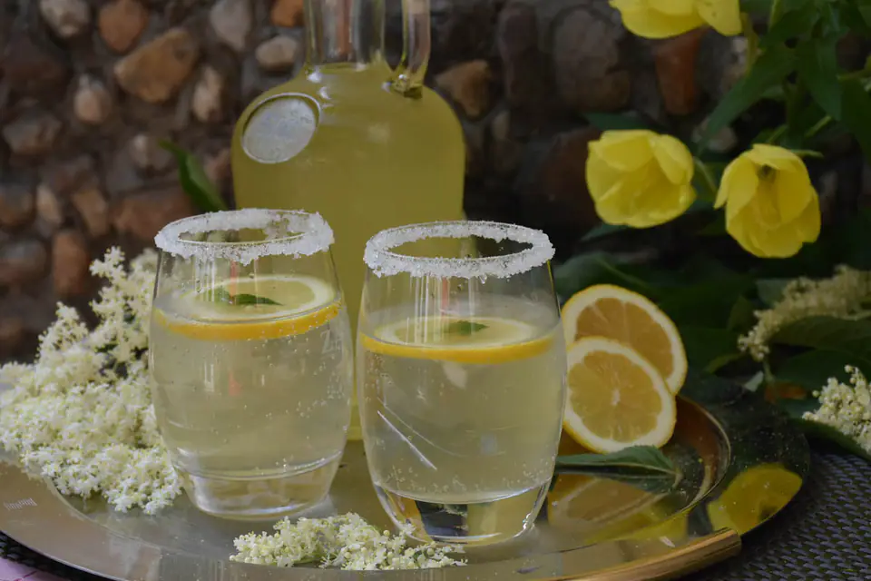 Sirop de soc – rețetă